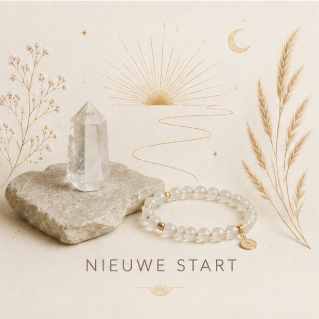 Nieuwe start