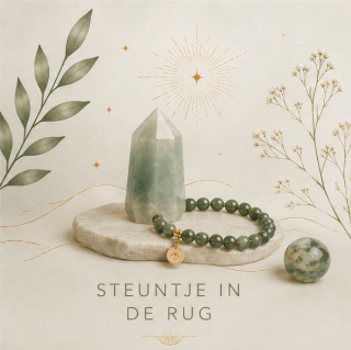 Steuntje in de rug