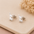 Chihuahua Lover – Studs
