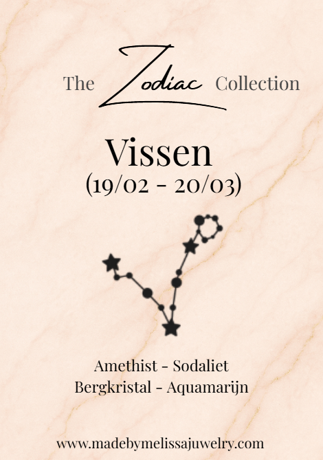 Vissen Zodiac Armband – Aquamarijn, Amethist, Bergkristal & Rozenkwarts